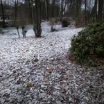 IMG_20211128_0755257-01.jpeg