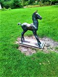 IMG_20210917_120608_1.jpg