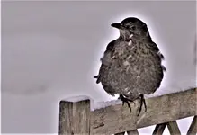 ftwttbwrbNov21-2.webp