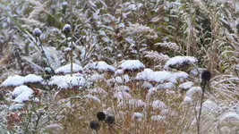 P1320128 (2).webp