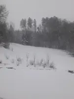 20211130_074311.webp