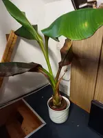 20211130_082053.webp