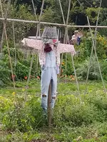 IMG_20210912_123630.webp