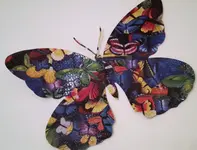 Schmetterling.webp