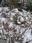 20211204_092510.jpg
