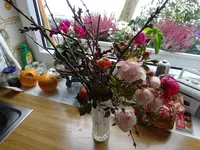 DSC02184.webp