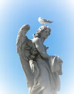 DSCN7854 (3).webp