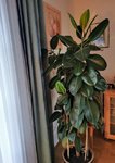 IMG_20211205_150331.jpg