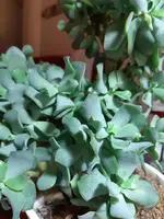 20211206_184633.webp