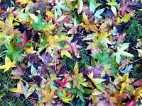 IMG_20211205_150133.jpg