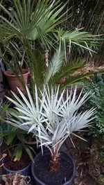 20211206_120901.webp