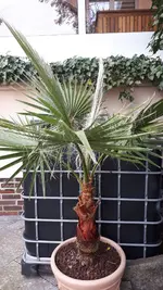 20211206_121007.webp