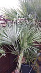 20211206_120943.jpg