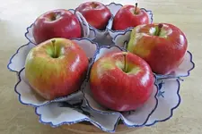 IMG_3565 v (2).webp