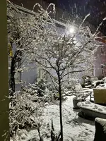 F703F4B7-81E8-4EC2-A15F-A567D7A6FD7E_1_201_a.webp