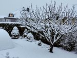 IMG_20211209_071757.jpg