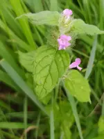 IMG_20210822_110343 (2).webp