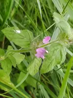 IMG_20210822_110350 (2).webp