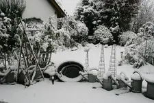 Winter  0421.webp