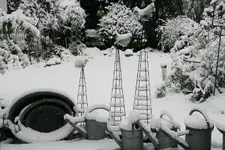 Winter  0621.webp