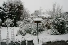 Winter  0721.webp