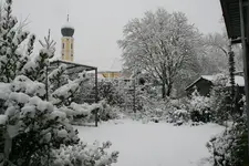 Winter  0821.webp