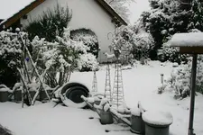 Winter  0921.webp