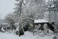 Winter4818.webp