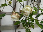 P1050918Kronprinzessin Viktoria.JPG