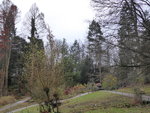 P1050940.JPG