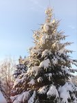 3E3676CB-79EC-40E2-8920-4BDEA0F8E4E0.jpeg