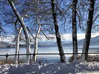 8B9FF40A-07CB-4FE3-BF93-ED338DA0DFCC.webp