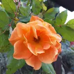 20211212_124439.webp