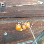 20211212_124413.webp