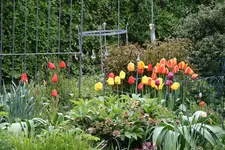 Frühling2416.webp