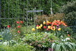 Frühling2416.JPG