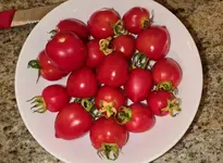 20211213_031618.webp