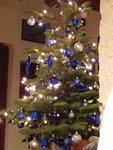 baum1.jpg