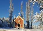 IMG_20211210_083359.jpg