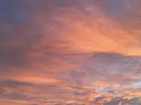 1639497372445 (2).jpg