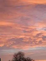 1639497372462 (2).webp