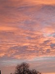 1639497372462 (2).jpg