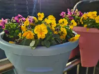 20211217_105317.webp