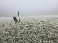 2021-12 Golfplatz zu.webp