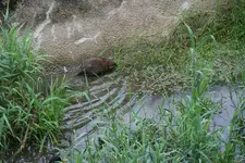 020.webp