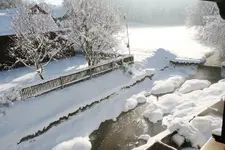 Graureiher0819.webp