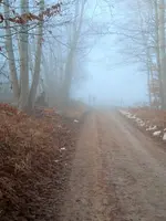 1639987249428 (2).webp