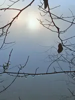 1639987249438 (2).webp