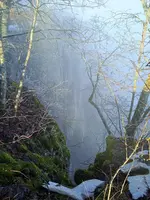 1639987249468 (2).webp