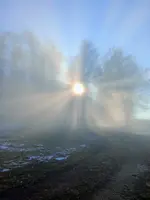 1639990721620 (2).webp